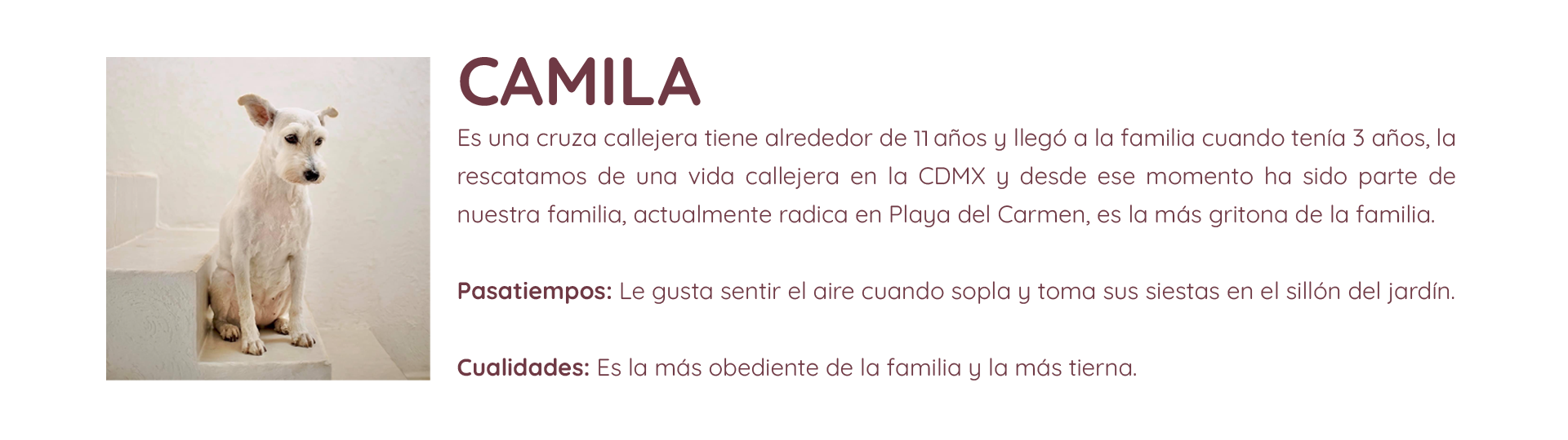 CAMILA TEXTO - 2