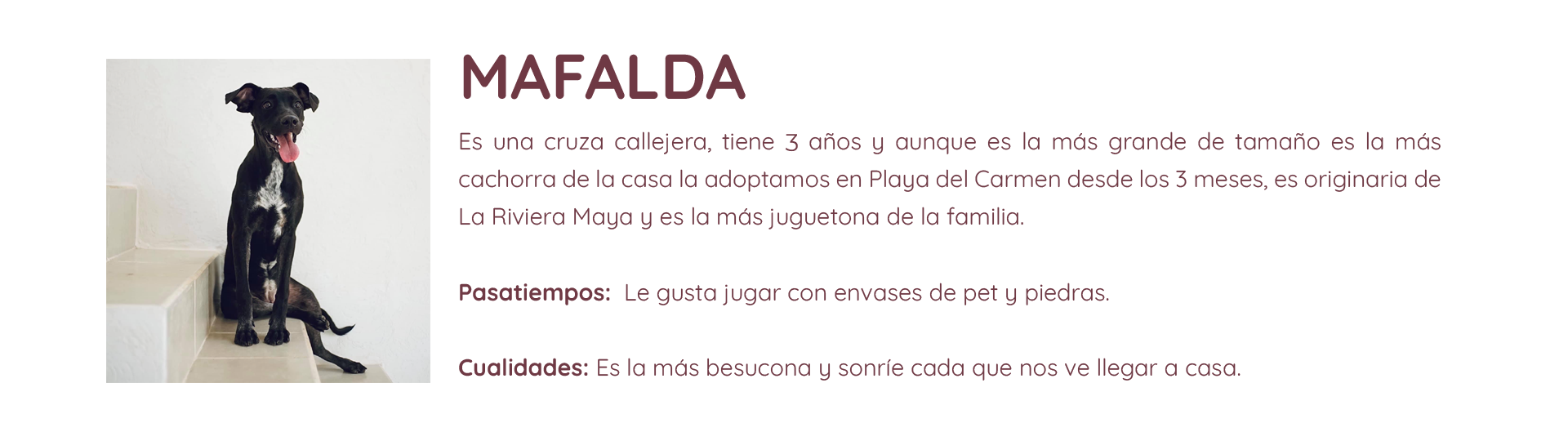 MAFALDA TEXTO - 2