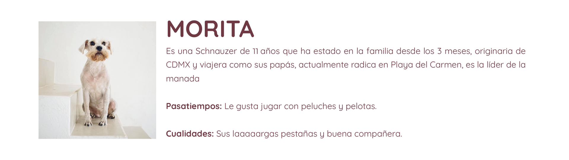 MORITA TEXTO - 2